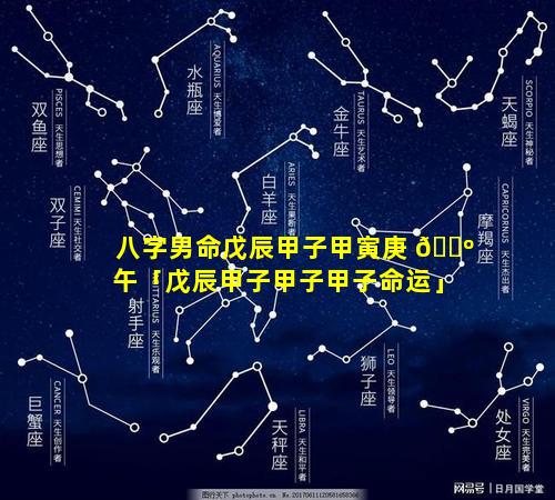 八字男命戊辰甲子甲寅庚 🐺 午「戊辰甲子甲子甲子命运」